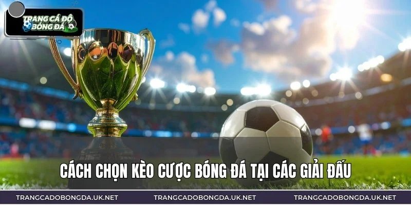 Bạn sẽ được hướng dẫn cách chọn kèo tại các giải đấu lớn